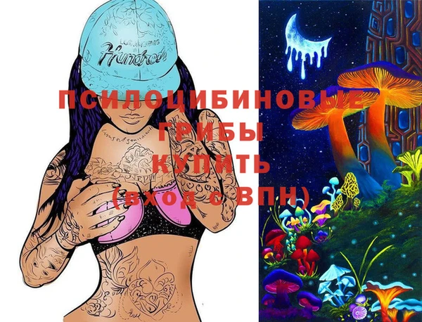 COCAINE Богородицк