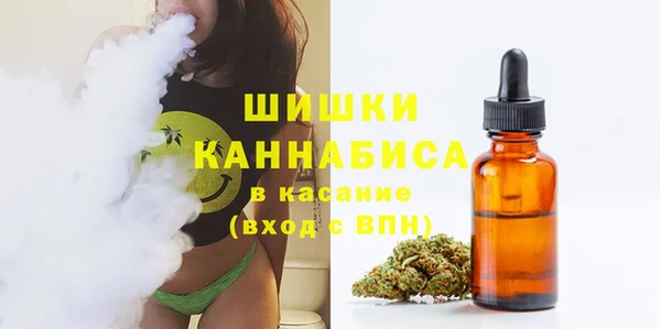тгк Богородск