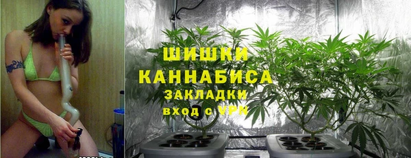 тгк Богородск