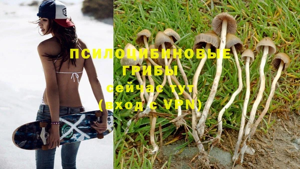 a pvp Богданович