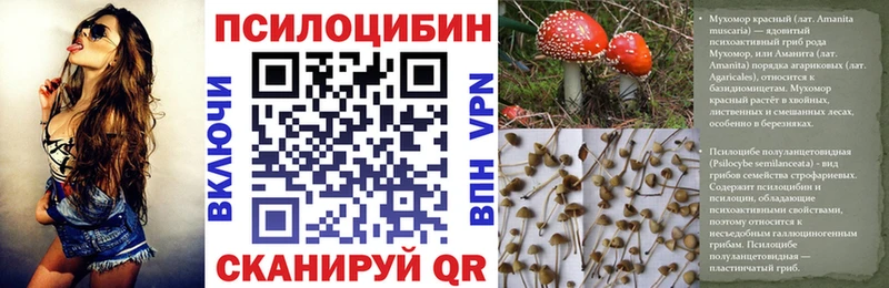 купить наркотики цена  Краснокамск  Галлюциногенные грибы прущие грибы 